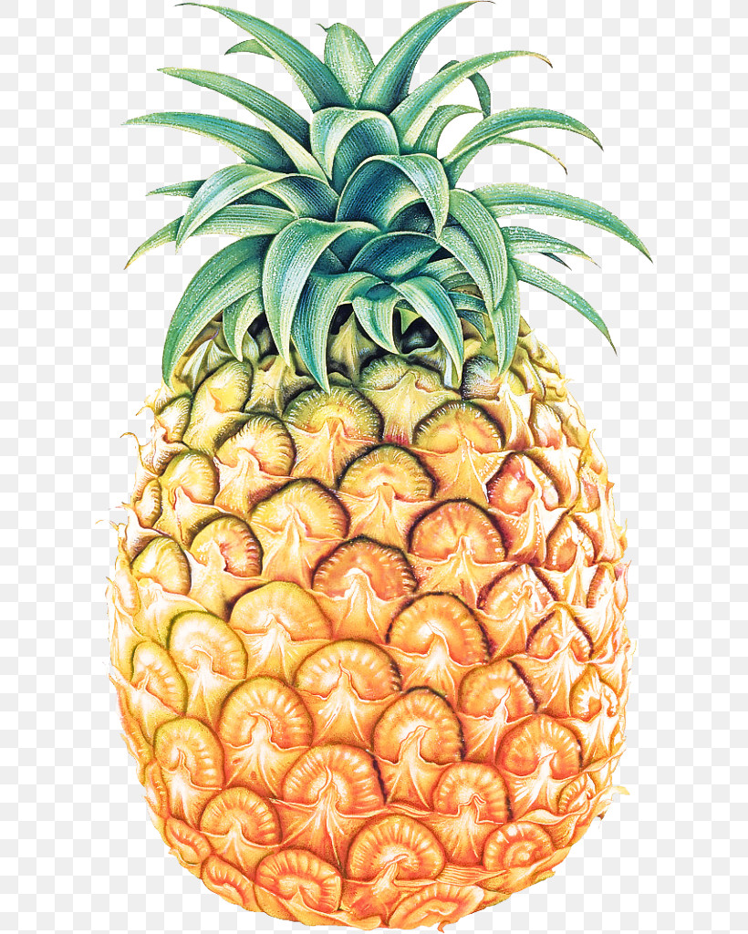 Pineapple, PNG, 614x1024px, Pineapple, Ananas, Food, Fruit, Natural Foods Download Free