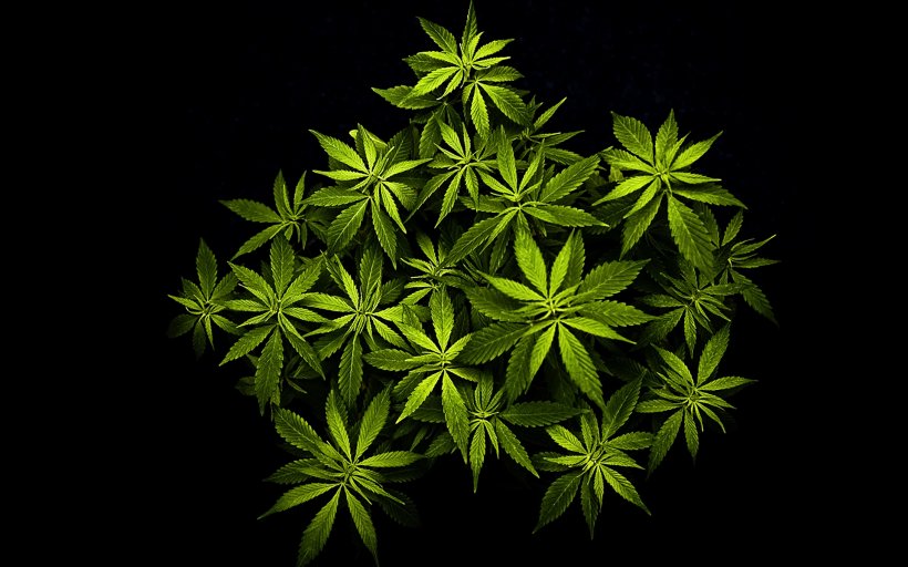 Cannabis Desktop Wallpaper High-definition Video High-definition Television Hemp, PNG, 1920x1200px, Cannabis, Android, Bong, Cannabis Smoking, Display Resolution Download Free