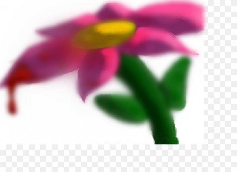 Close-up, PNG, 2200x1600px, Closeup, Close Up, Flora, Flower, Magenta Download Free