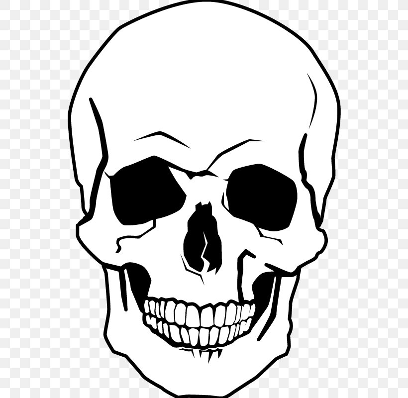 Drawing Human Skull Coloring Book Skull And Crossbones, PNG, 800x800px, Drawing, Artwork, Black And White, Bone, Color Download Free