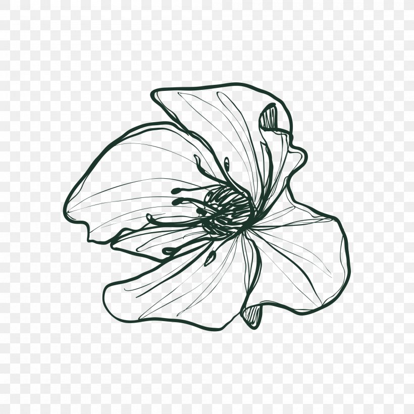 Drawing Image Flower Vector Graphics, PNG, 2000x2000px, Drawing, Artwork, Black And White, Cartoon, Cut Flowers Download Free