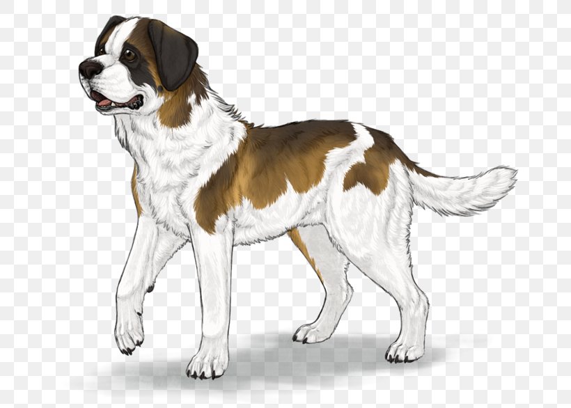 Drentse Patrijshond St. Bernard English Foxhound Dog Breed Companion Dog, PNG, 700x586px, Drentse Patrijshond, Breed, Breed Group Dog, Carnivoran, Companion Dog Download Free