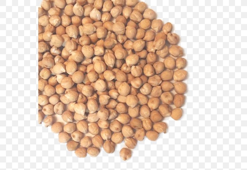 Chickpea Vegetable Legume Hazelnut Commodity, PNG, 565x565px, Chickpea, Bean, Cereal, Commodity, Food Download Free