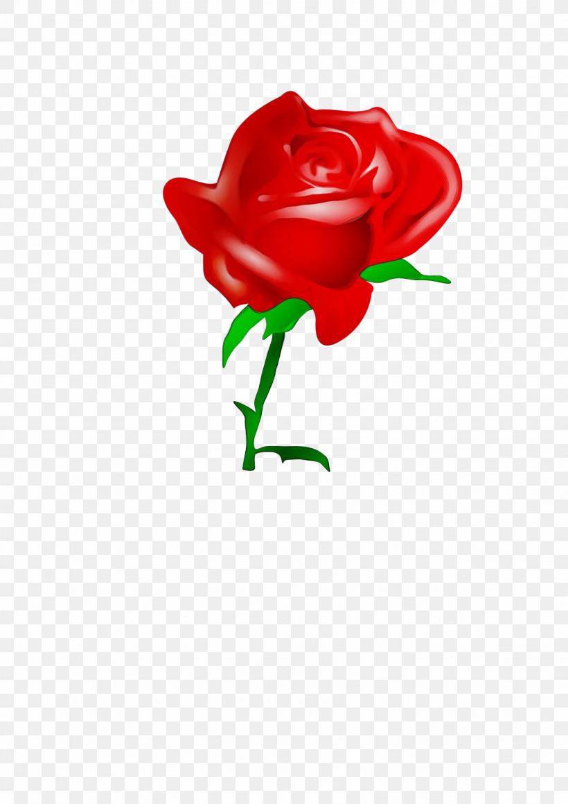 Garden Roses, PNG, 1331x1882px, Watercolor, Cabbage Rose, Cut Flowers, Floral Design, Floribunda Download Free