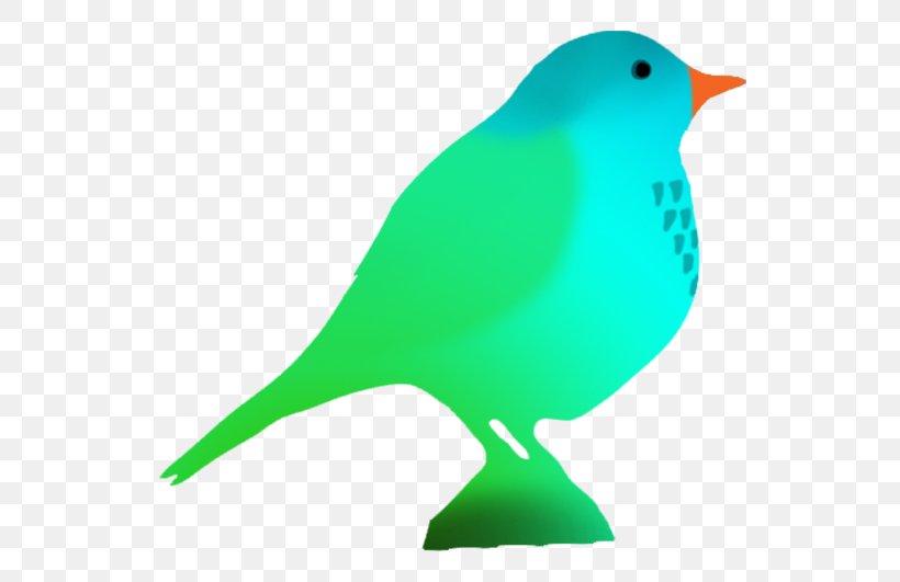 Hummingbird Parrot Color Clip Art, PNG, 586x531px, Bird, Animal, Beak, Color, Drawing Download Free