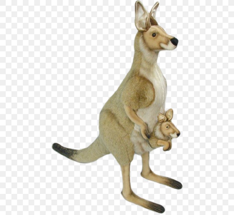 Kangaroo, PNG, 465x754px, Kangaroo, Fauna, Kangaroo Care, Macropodidae, Mammal Download Free