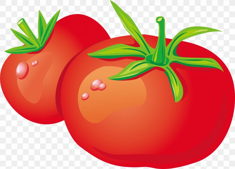 Vegetable Zakuski Tomato Fruit, PNG, 2679x1927px, Vegetable, Apple, Bush Tomato, Capsicum Annuum, Cauliflower Download Free