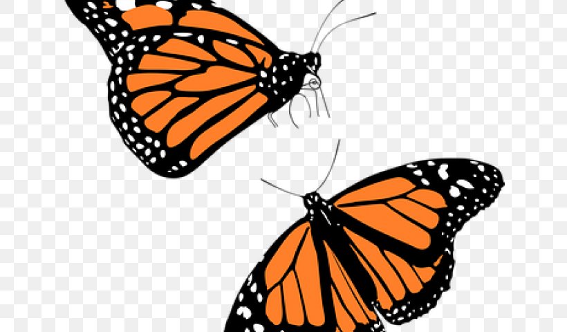 The Monarch Butterfly Clip Art Vector Graphics, PNG, 640x480px, Butterfly, Arthropod, Black And White, Brush Footed Butterfly, Brushfooted Butterflies Download Free