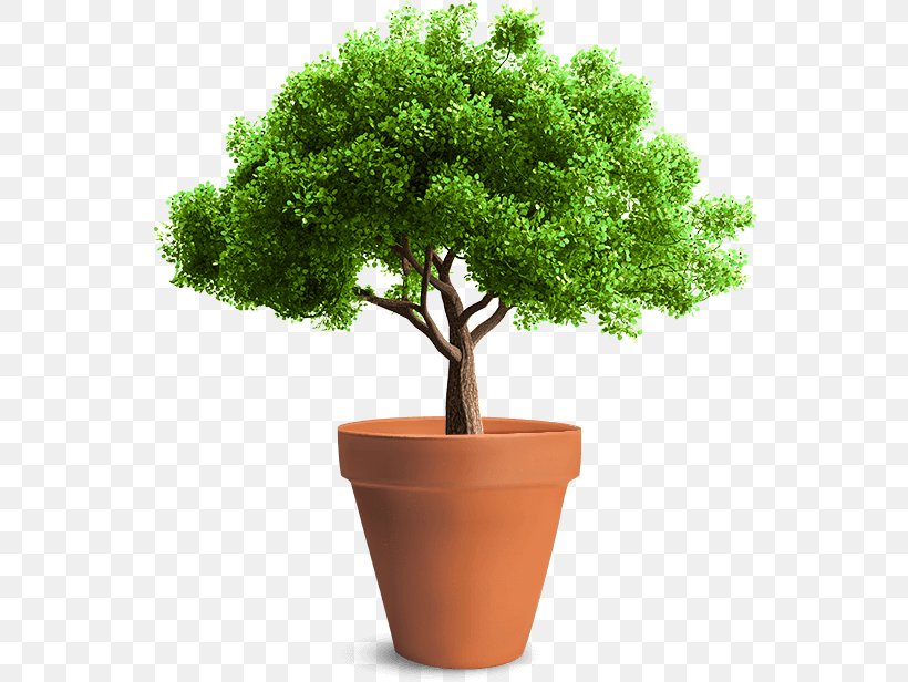 Tree Planting Arborist Sketch, PNG, 548x616px, Tree, Arborist, Art, Bonsai, Flowerpot Download Free