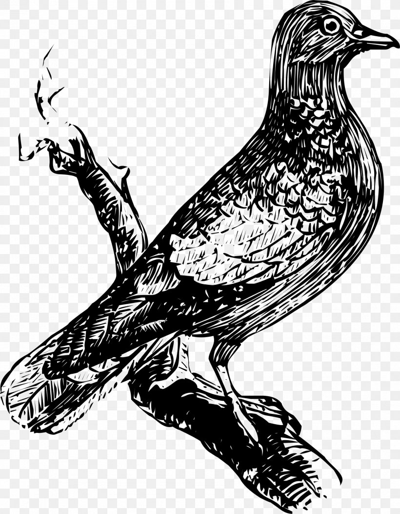Bird Drawing Art, PNG, 1801x2312px, Bird, Art, Beak, Bird Of Prey, Black And White Download Free