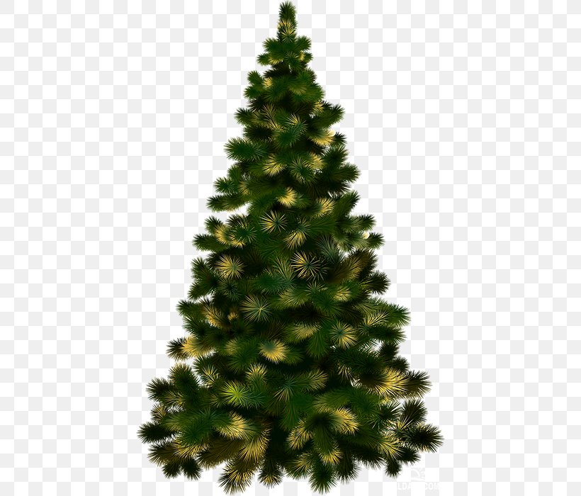 Christmas Tree Christmas Decoration Clip Art, PNG, 436x700px, Christmas Tree, Artificial Christmas Tree, Biome, Candle, Christmas Download Free