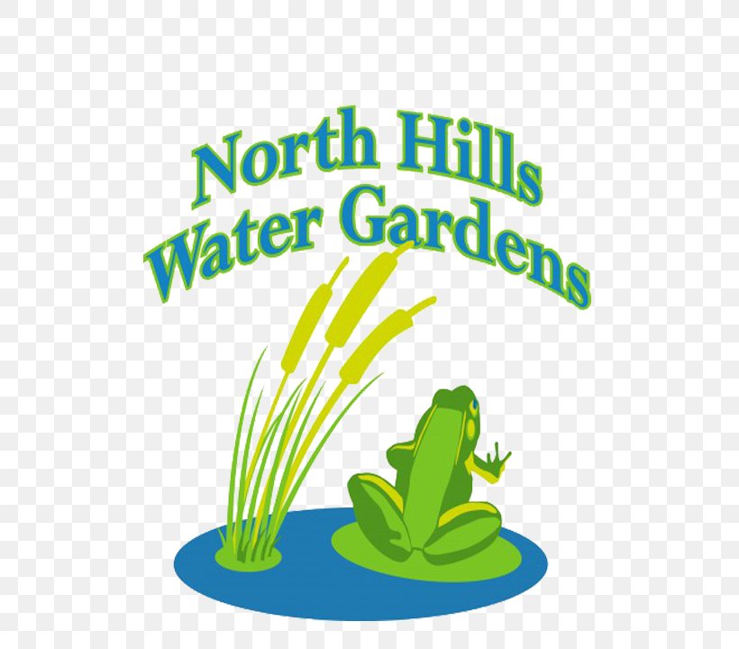 Best Feeds Garden Centers LLC North Hills Water Gardens Tree Frog Pittsburgh, PNG, 504x720px, Tree Frog, Amphibian, Area, Artwork, Brand Download Free