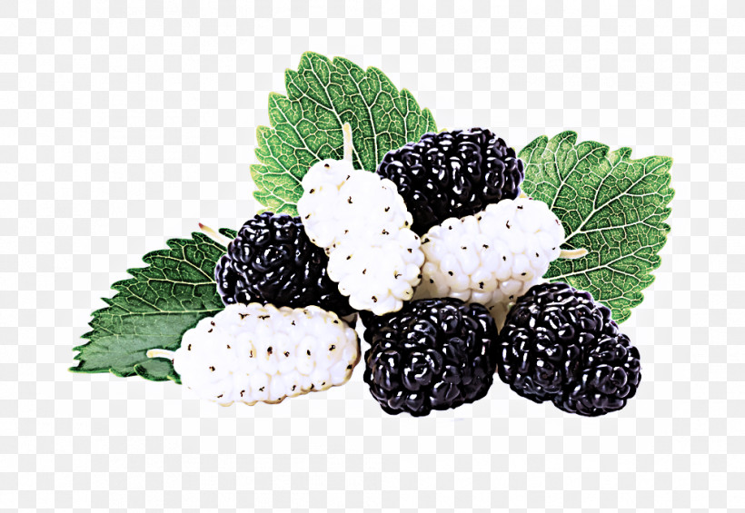 Blackberry Berry Rubus Fruit West Indian Raspberry, PNG, 992x684px, Blackberry, Berry, Food, Fruit, Frutti Di Bosco Download Free