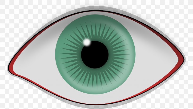 Human Eye Retina Iris Visual Perception, PNG, 1280x727px, Watercolor, Cartoon, Flower, Frame, Heart Download Free