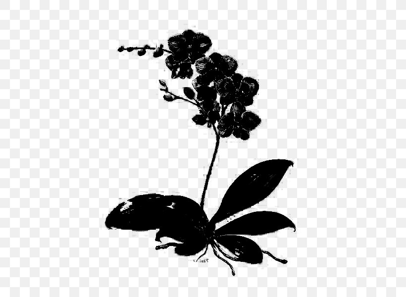 Insect Flower Plant Stem Leaf Silhouette, PNG, 450x600px, Insect, Blackandwhite, Botany, Branching, Flower Download Free