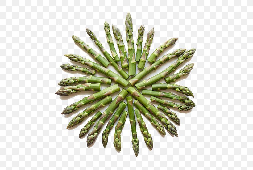 Asparagus Nutrient Vitamin A Plant Stem Folate, PNG, 550x550px, Asparagus, Antioxidant, Chemical Compound, Dietary Fiber, Folate Download Free