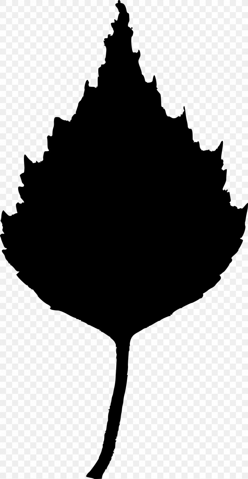 Birch Leaf Clip Art, PNG, 1244x2400px, Birch, Autumn, Autumn Leaf Color, Black And White, Branch Download Free