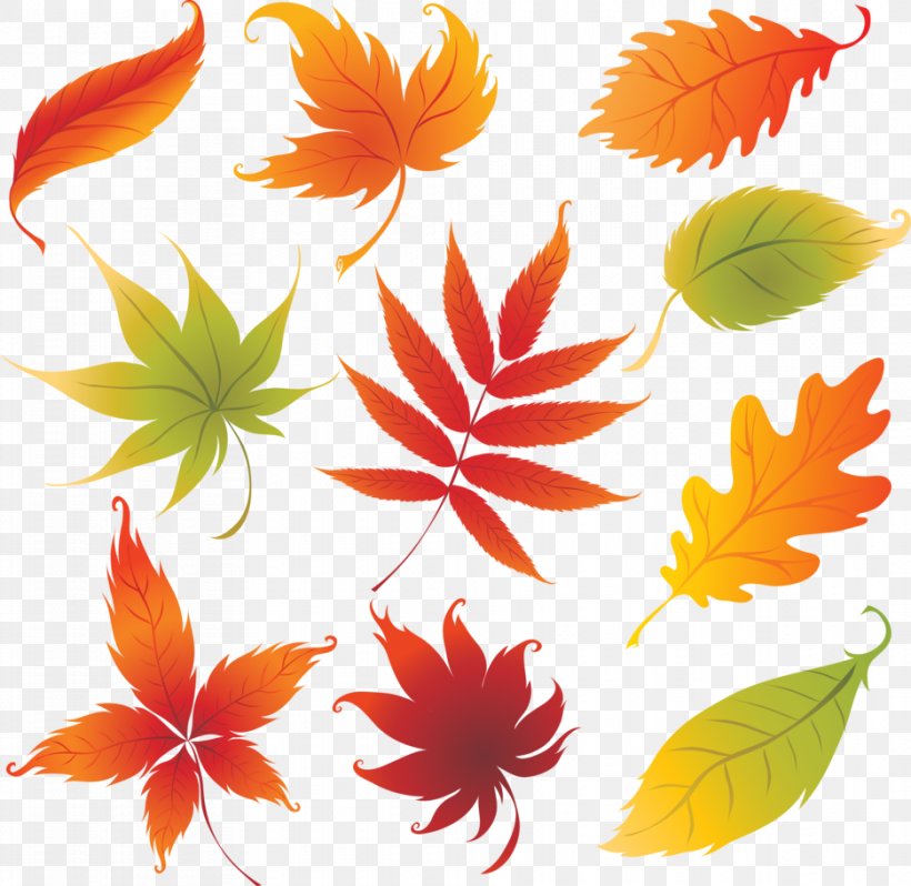 Drawing Autumn Leaf Color, PNG, 936x912px, Drawing, Art, Autumn, Autumn Leaf Color, Color Download Free