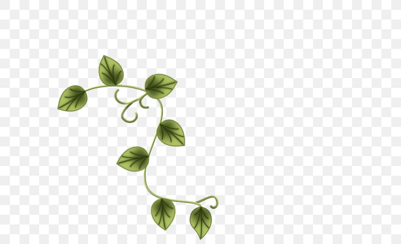 Flora Leaf Plant Stem Week Happiness, PNG, 600x500px, Flora, Branch, Green, Happiness, Leaf Download Free