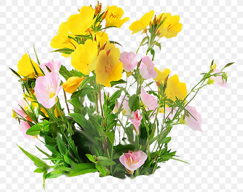 Flower Bouquet Centerblog Clip Art, PNG, 800x649px, Flower, Alstroemeriaceae, Annual Plant, Blog, Blume Download Free