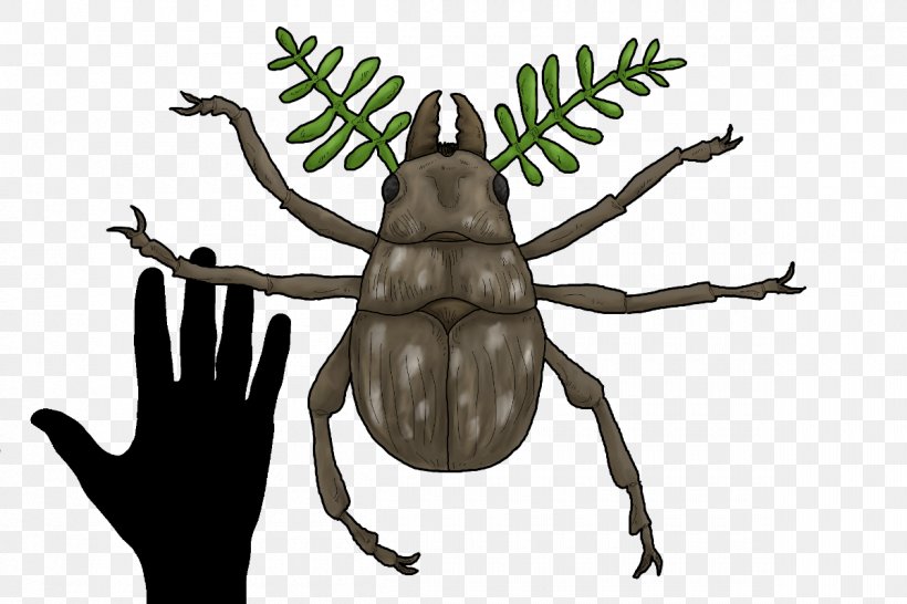 Beetle Future Evolution Speculative Evolution The Field Guide To Lake Monsters, Sea Serpents And Other Mystery Denizens Of The Deep Art, PNG, 1200x800px, Beetle, Amphibian, Art, Arthropod, Biology Download Free