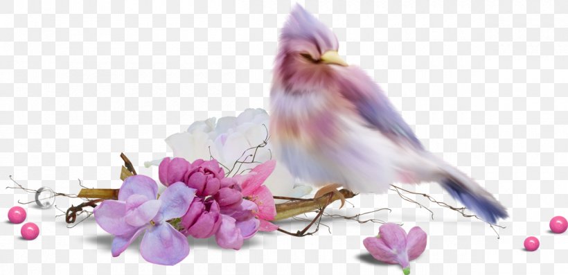 Flower Watercolor Painting Drawing, PNG, 1200x582px, Flower, Art, Beak, Bird, Blossom Download Free