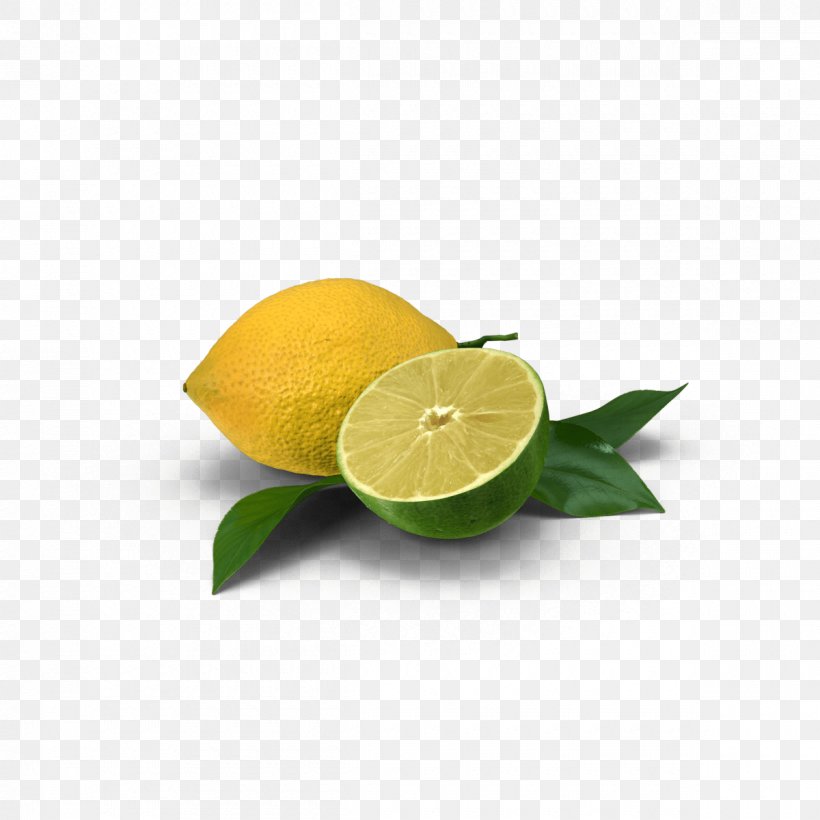 Lemon-lime Drink Lemon-lime Drink Key Lime Persian Lime, PNG, 1200x1200px, 3d Computer Graphics, Lime, Citric Acid, Citron, Citrus Download Free