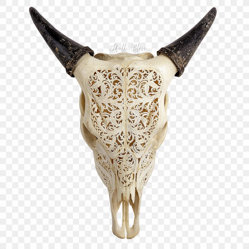 Texas Longhorn Animal Skulls Human Skull, PNG, 1000x1000px, Texas Longhorn, Anatomy, Animal, Animal Skulls, Bone Download Free