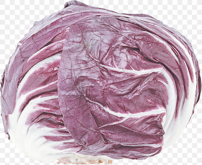 Cabbage Red Cabbage Vegetable Wild Cabbage Purple, PNG, 2037x1662px, Cabbage, Food, Leaf Vegetable, Purple, Radicchio Download Free