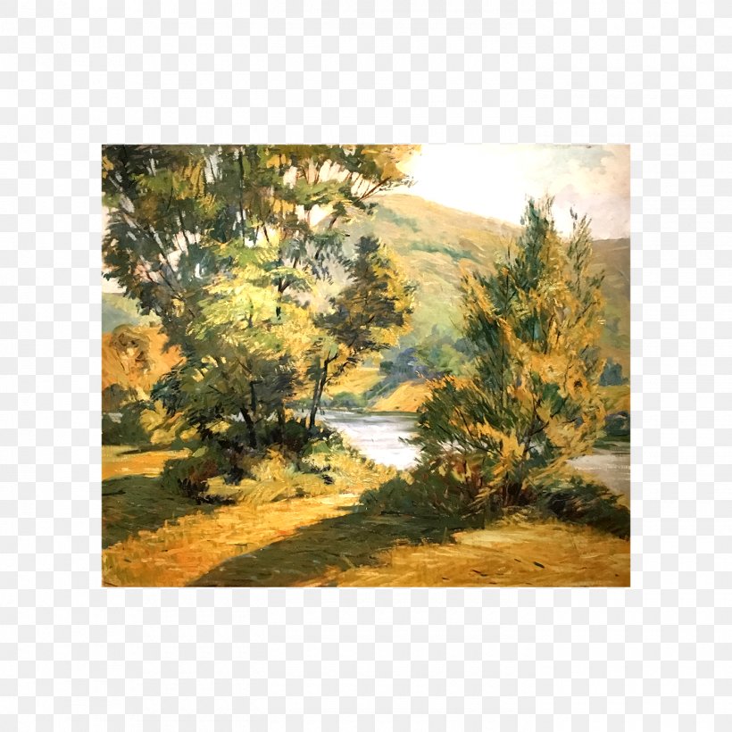 Ecosystem Landscape Biome Tree Painting, PNG, 1400x1400px, Ecosystem, Biome, Conifer, Conifers, Family Download Free