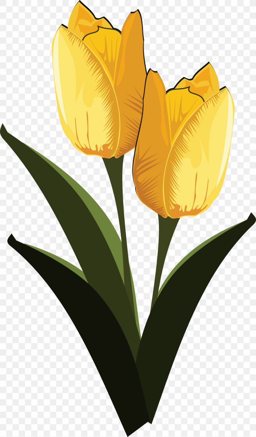 Flower Clip Art, PNG, 1123x1920px, Flower, Decoupage, Flowering Plant, Lily Family, Petal Download Free