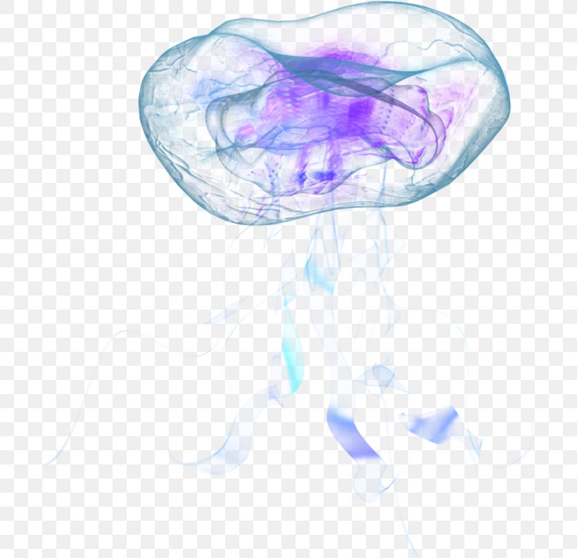 Nomura's Jellyfish Aurelia Aurita Marine Invertebrates, PNG, 700x793px, Jellyfish, Aurelia Aurita, Bioluminescence, Blue, Drawing Download Free