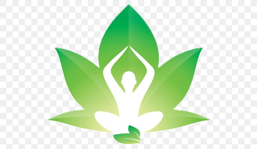 Yoga Healing, PNG, 553x475px, Yoga, Body, Flora, Flower, Grass Download Free