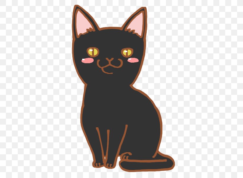 Bombay Cat Black Cat Havana Brown Kitten Domestic Short Haired Cat