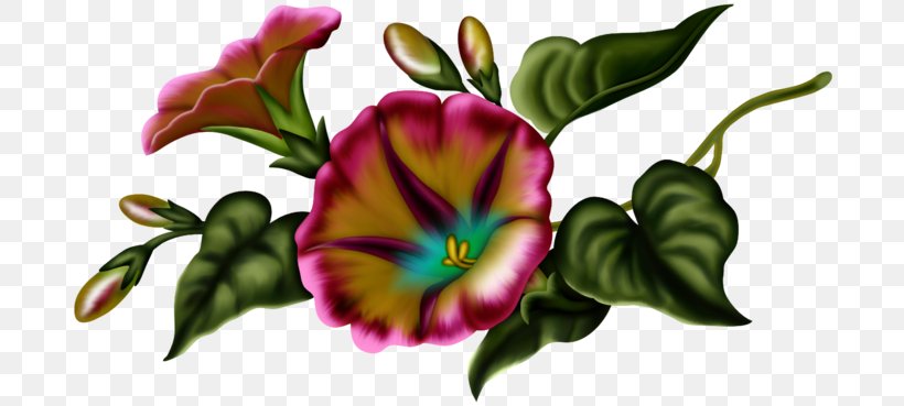 Floral Design Flower Clip Art, PNG, 699x369px, Floral Design, Art, Cut Flowers, Flora, Floristry Download Free