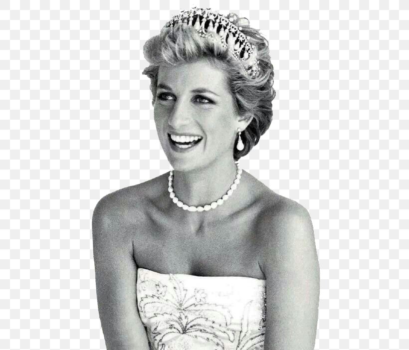 Death Of Diana, Princess Of Wales Concert For Diana Wedding Of Prince Harry And Meghan Markle Spencer Family, PNG, 500x702px, Diana Princess Of Wales, Beanie Babies, Beauty, Black And White, Bride Download Free
