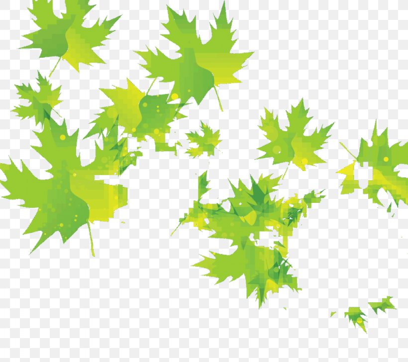 Maple Leaf, PNG, 1024x910px, Maple Leaf, Art, Branch, Color, Flowering Plant Download Free