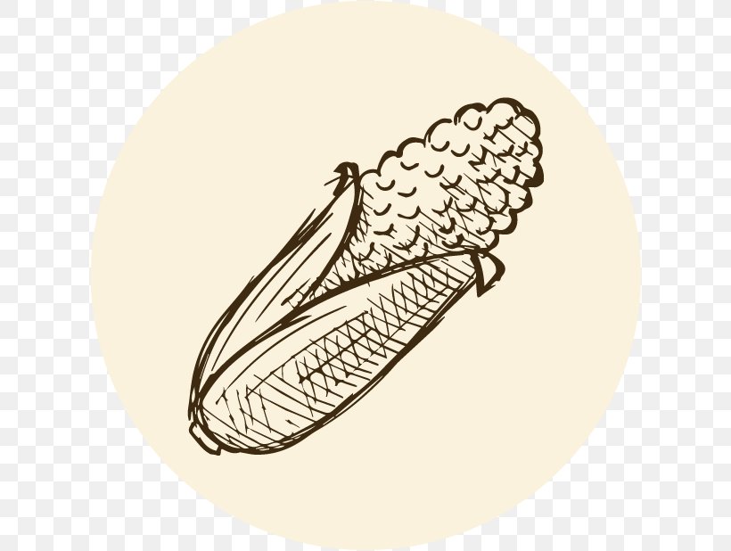 Taco Food Vegetable, PNG, 618x618px, Taco, Arm, Commodity, Corncob, Drawing Download Free