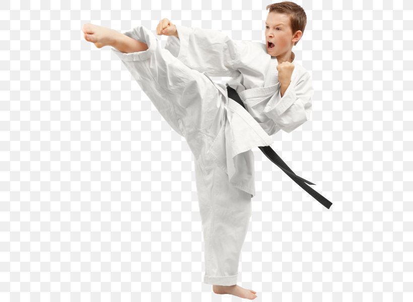 Taekwondo Martial Arts Karate Gi Sport, PNG, 513x600px, Taekwondo, Arm, Ata Martial Arts, Child, Costume Download Free