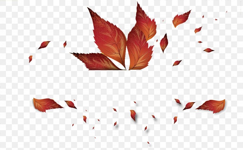 Autumn Leaf Color Clip Art, PNG, 984x609px, Autumn, Autumn Leaf Color, Deciduous, Leaf, Maple Leaf Download Free