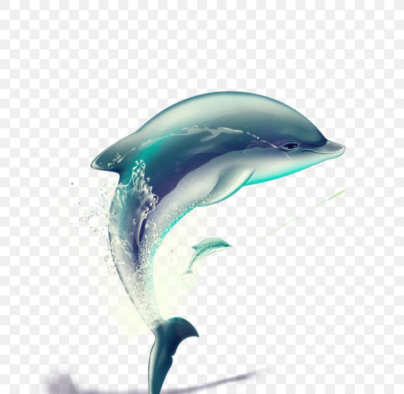 Dolphin, PNG, 800x800px, Dolphin, Common Bottlenose Dolphin, Computer Graphics, Fin, Mammal Download Free