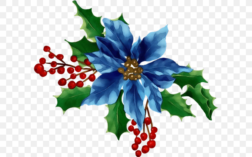 Holly, PNG, 600x513px, Watercolor, Aquifoliales, Branching, Flower, Holly Download Free