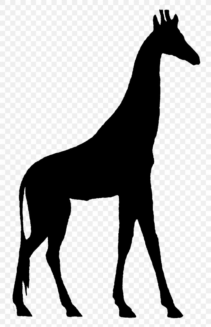 Mustang Giraffe Stallion Black & White, PNG, 1032x1600px, Mustang, Animal, Animal Figure, Black White M, Colts Manufacturing Company Download Free