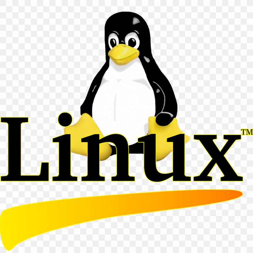 Penguin Logo Linux Brand Font, PNG, 930x930px, Penguin, Beak, Bird, Brand, Course Download Free