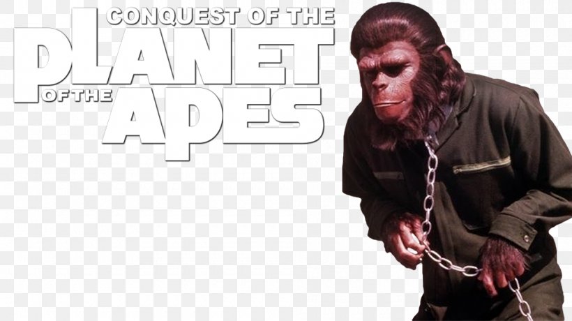Planet Of The Apes Caesar Dr. Zira Film, PNG, 1000x562px, Watercolor, Cartoon, Flower, Frame, Heart Download Free