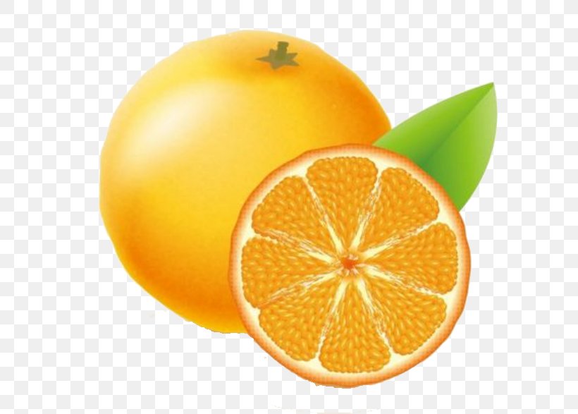 Clementine Orange Adobe Illustrator Icon, PNG, 658x587px, Clementine, Bitter Orange, Chenpi, Citric Acid, Citron Download Free