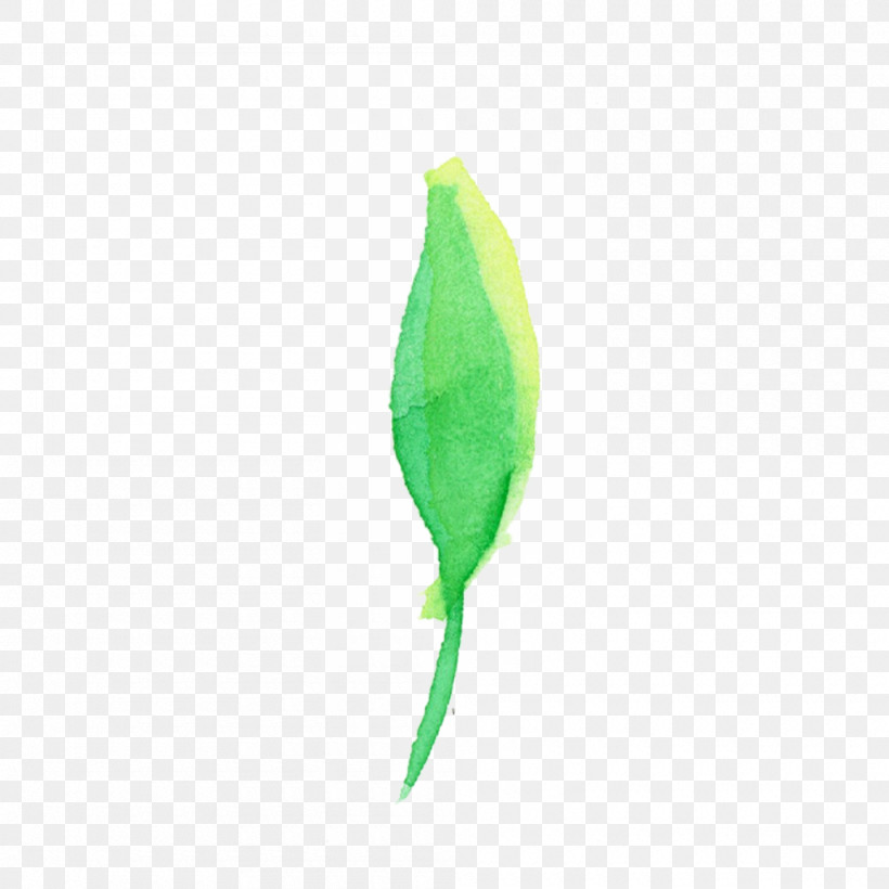 Feather, PNG, 1000x1000px, Watercolor Leaf, Feather, Flower, Green, Leaf Download Free