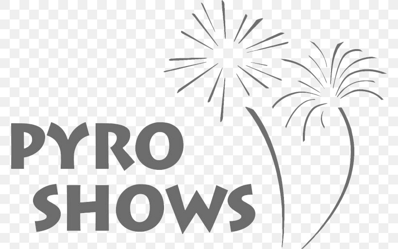 Joshua Area Chamber Of Commerce Melrose Pyrotechnics Atlanta Fireworks, PNG, 776x513px, Joshua Area Chamber Of Commerce, American Pyrotechnics Association, Area, Atlanta, Black And White Download Free