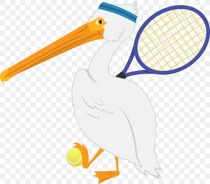 Bird Beak Cartoon Sport Clip Art, PNG, 2904x2550px, Bird, Animal, Area, Beak, Cartoon Download Free