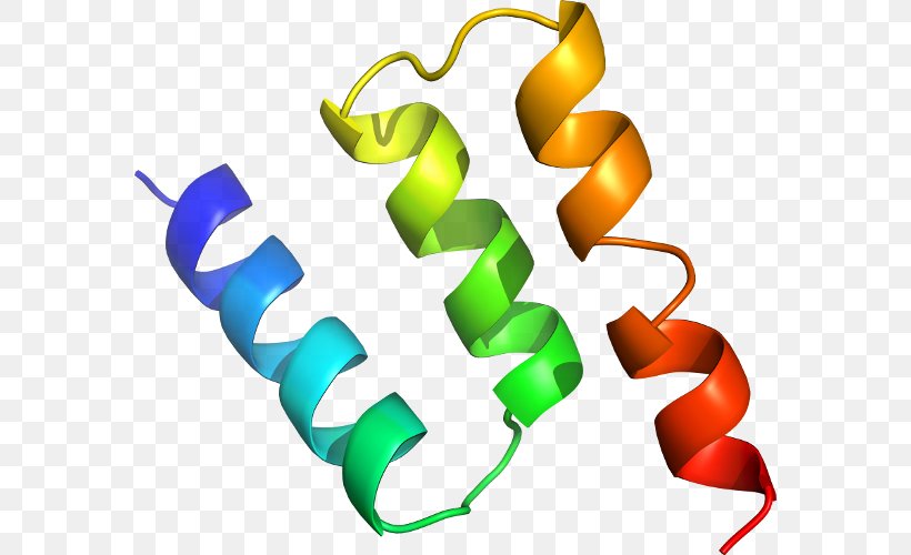 Clip Art Glutathione Peroxidase Product Design Line, PNG, 578x500px, Glutathione Peroxidase, Artwork, Body Jewellery, Body Jewelry, Glutathione Download Free